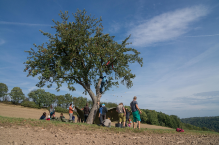 Apfel Wochenende